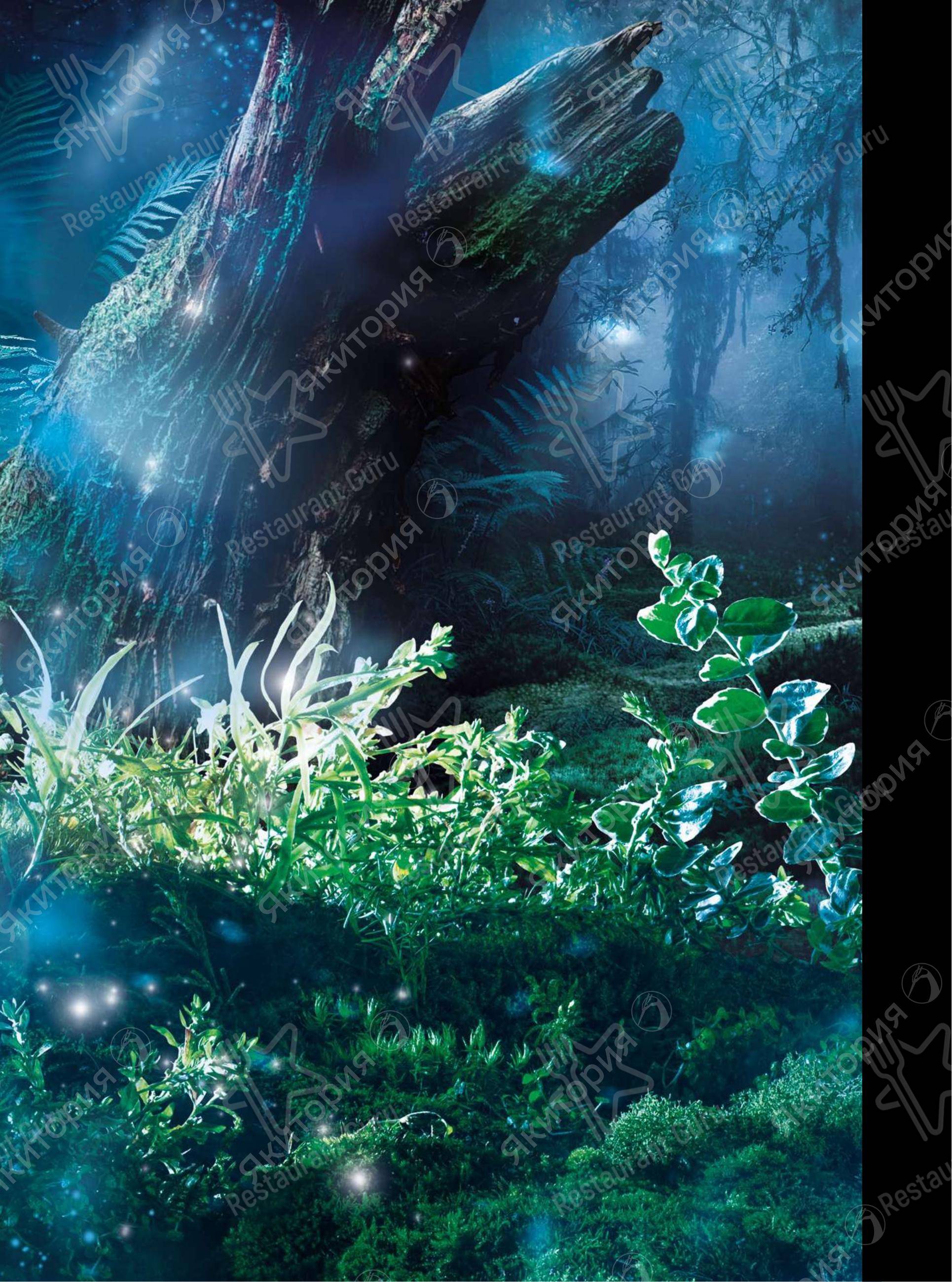 Меню для посетителей ресторана Якитория